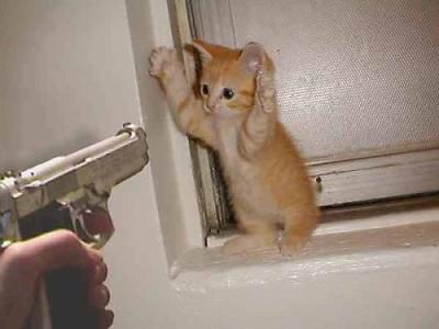 oh les pattes!!!!!!!!!!!!!!!!