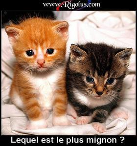 tro chou