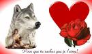 Je t'aime